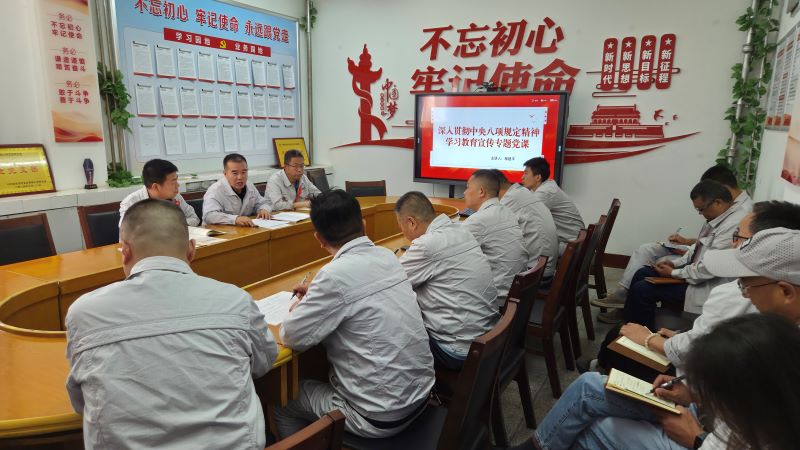 公司副总经理杨建平给安技党支部讲党课