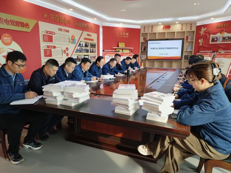 渭河发电纪委召开“护苗行动”暨年轻干部教育警示会