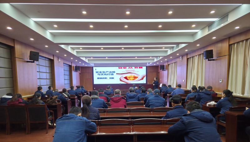 渭河发电举办安全管理专题培训